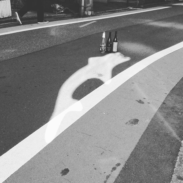 路面にイルカが現れるぐらいにはメルヘンな心理状態なので車道にボトルを置いて撮影してしまうぐらいにはメルヘンなメルヘン#naturalwine #自然派ワイン #yogihachiman - from Instagram