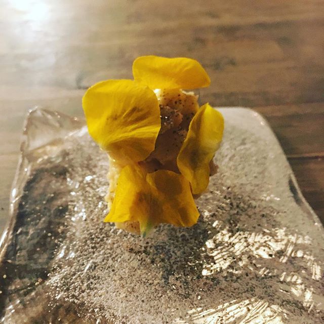Kagoshima miso marinated cream cheese with pansy petals - from Instagram